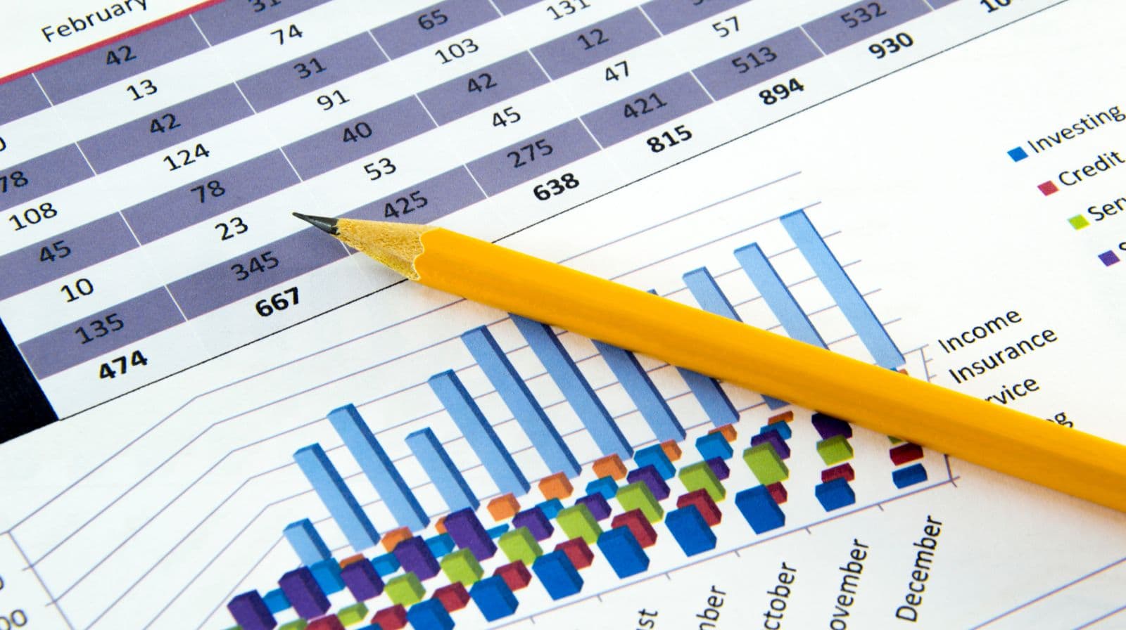 Understanding Your Financial Reports: P&L vs Balance Sheet